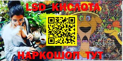 шишки Кимры