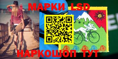 шишки Кимры