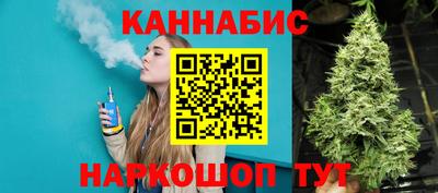 шишки Кимры