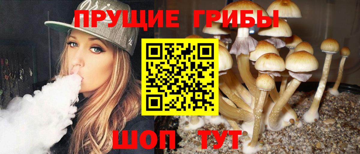 Ленинск-Кузнецкий  Галлюциногенные грибы ЛСД  Вход с VPN 